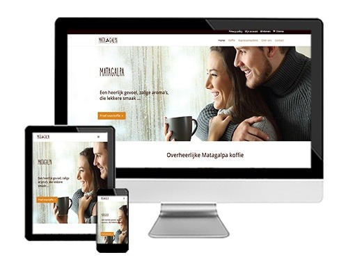 hoeveel kost een website maken